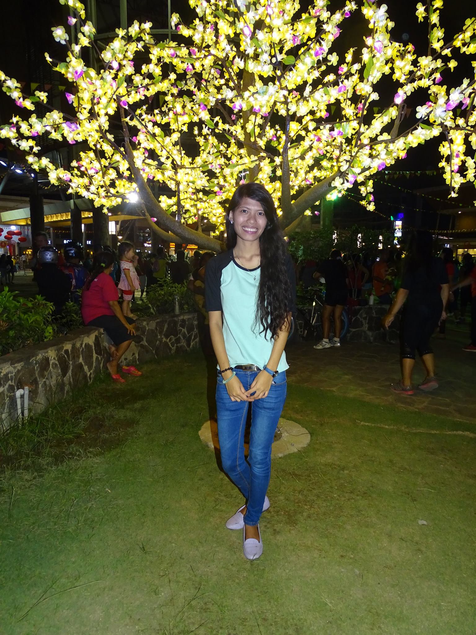 Led Light Mango Tree, Parkmall Cebu