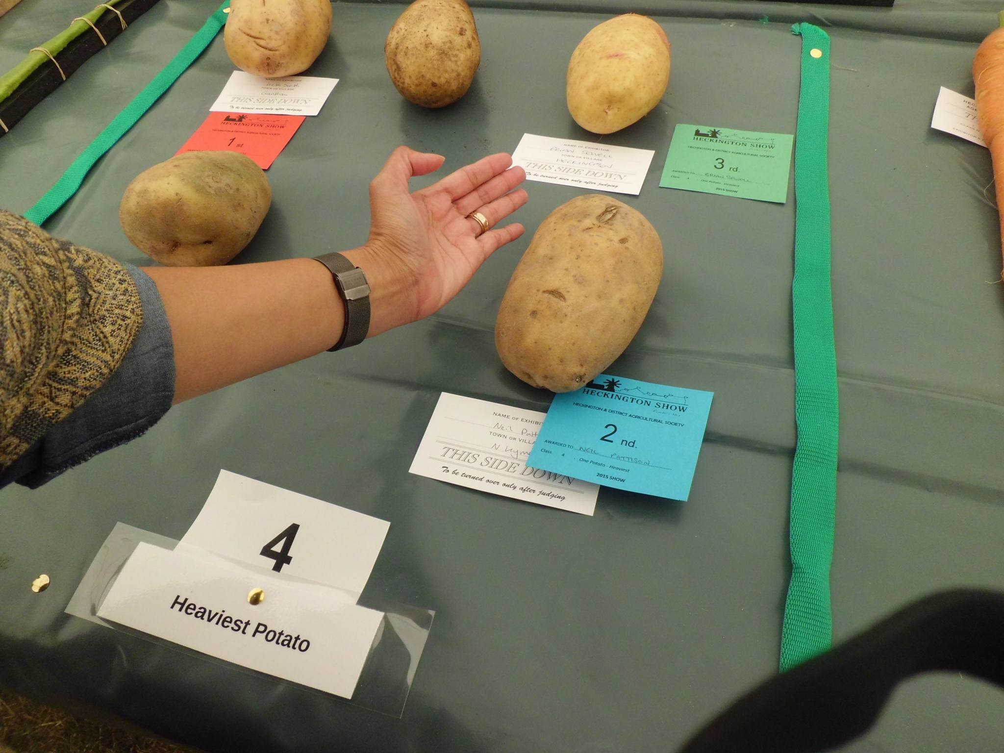 2nd place for the Heaviest Potato Category, Heckington Show, England, UK