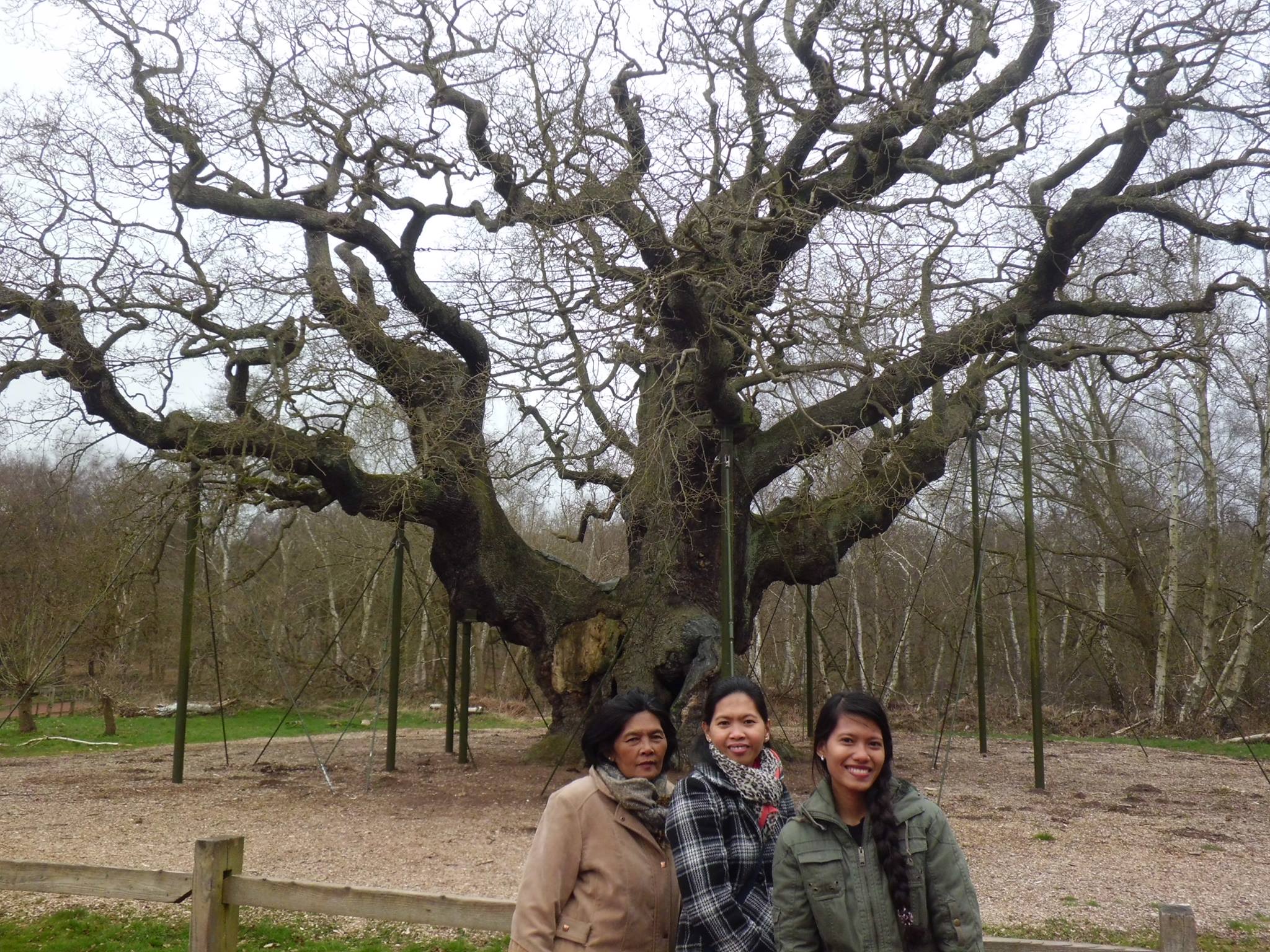 Sherwood Forest