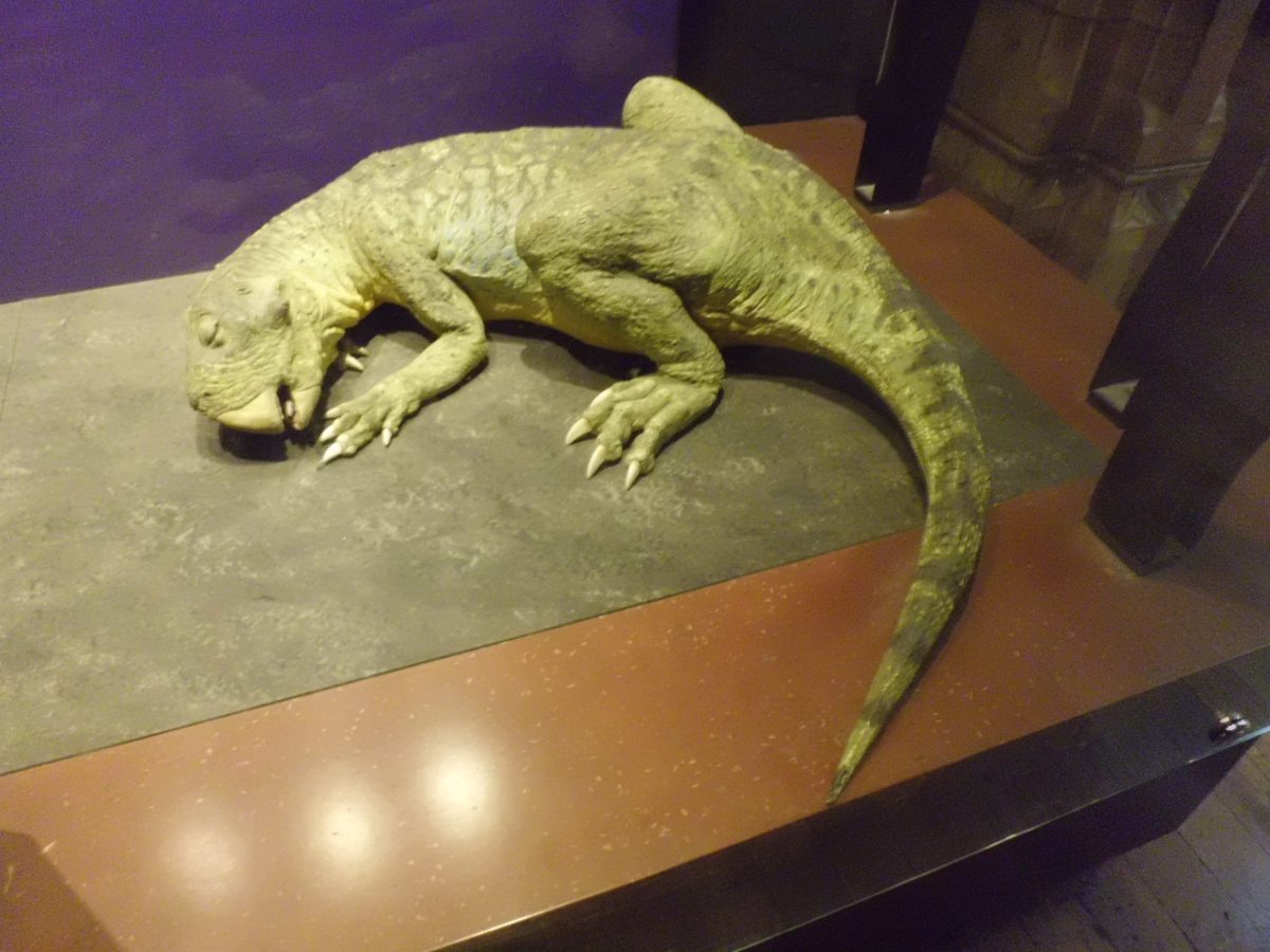 A baby dinosaur, National History Museum London