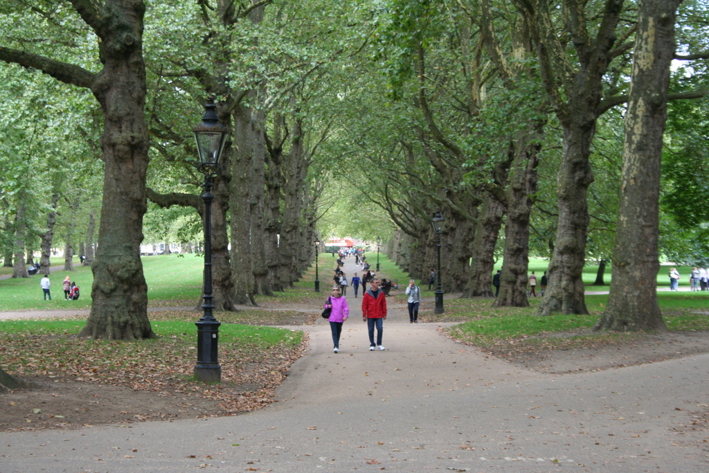 Nice Scenery in London